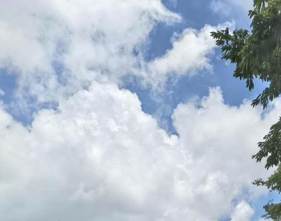 云是天空的诗篇，也是大自然馈赠的画卷。每一朵云都像是天空不经意间的创作，形状各异