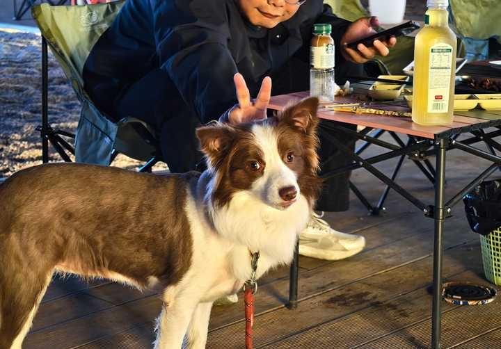 日本政坛最右组阁或诞生！自民党与维新会基本达成一致，高市早苗出任首相在即，「自维
