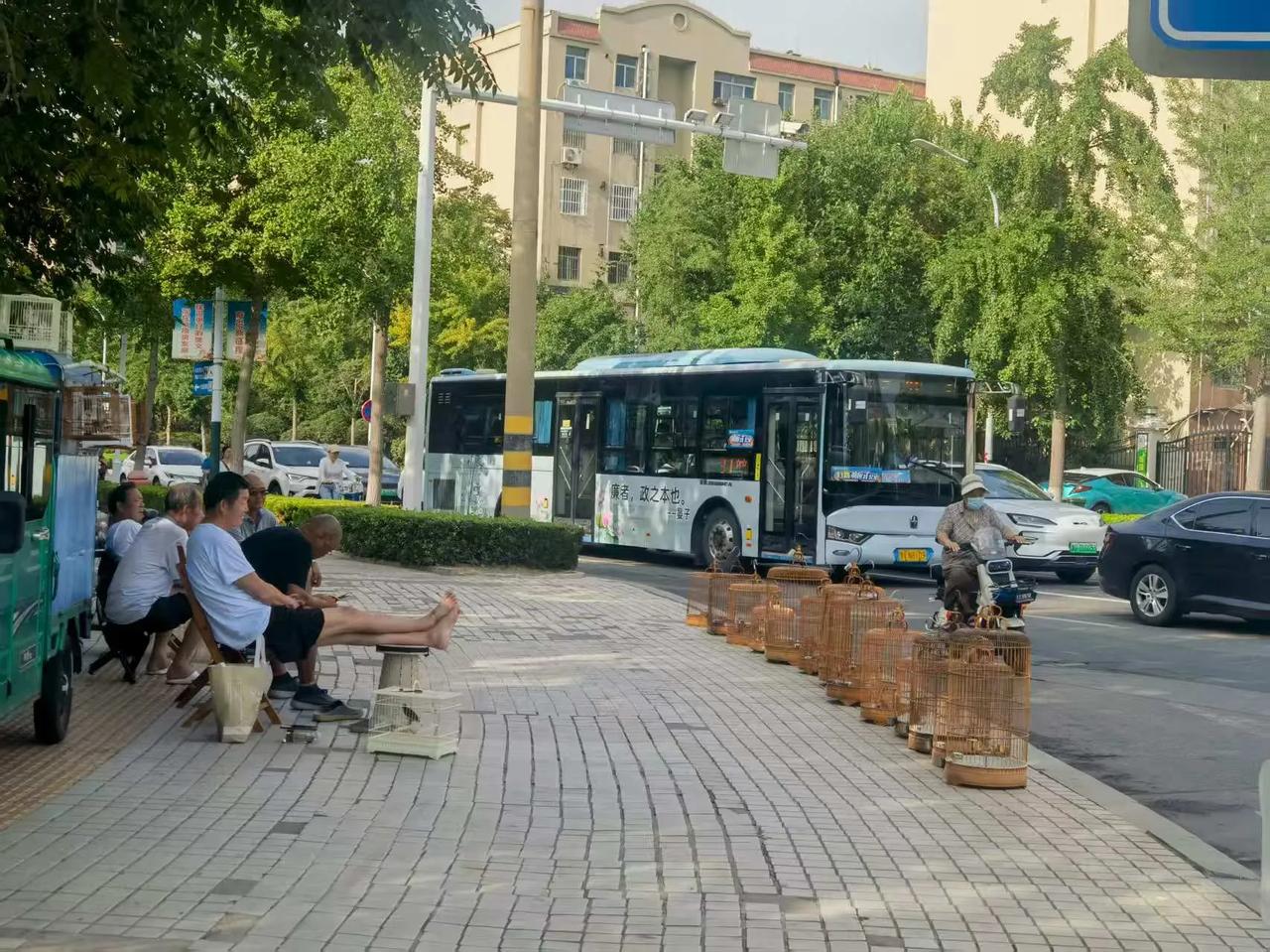 街头闲坐听蝉鸣，
笼中鸟语伴风轻。
绿荫深处人静坐，
车水马龙市井声。

岁月悠