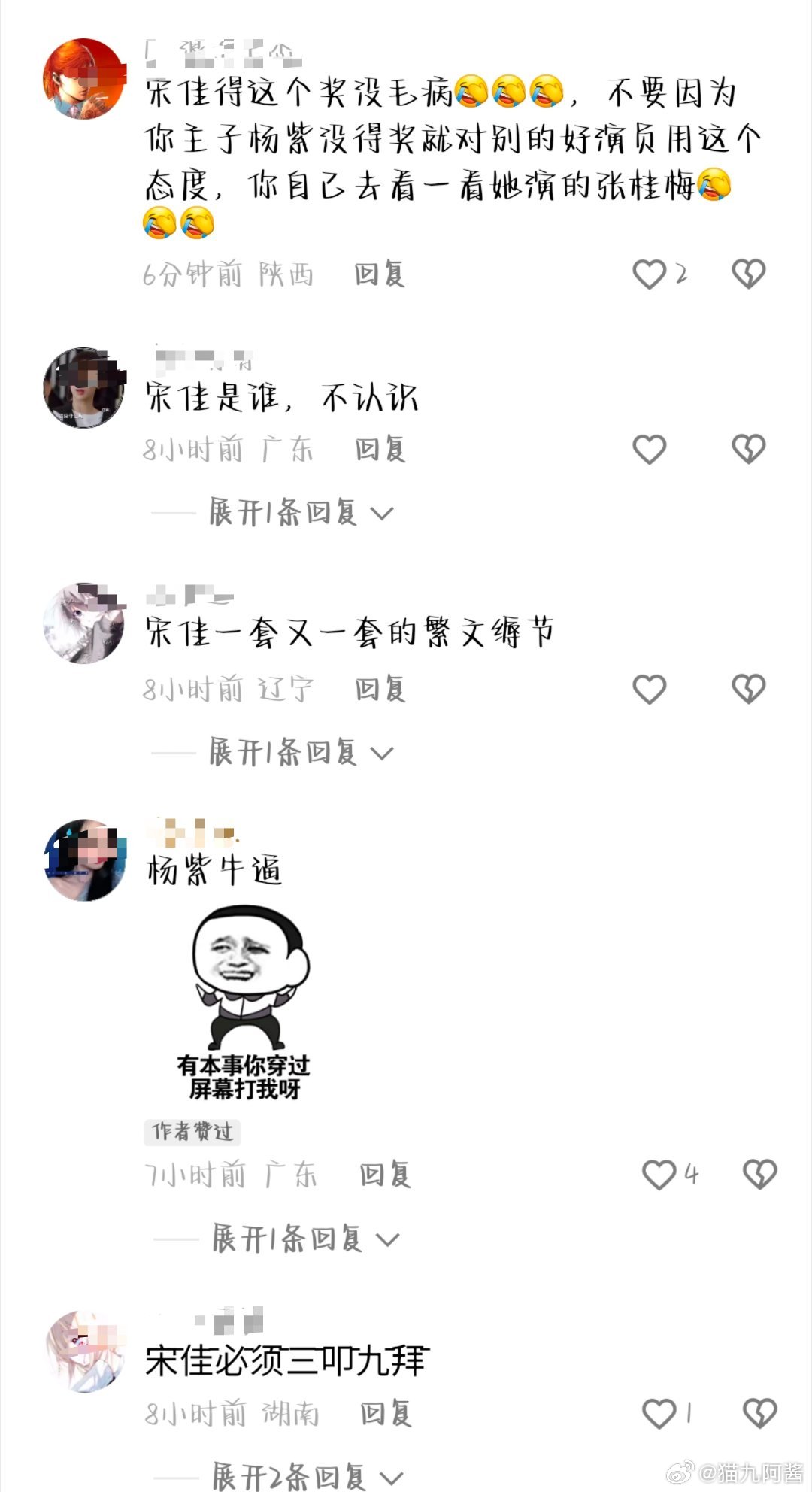 从此，宋佳进入大转盘 ​​​