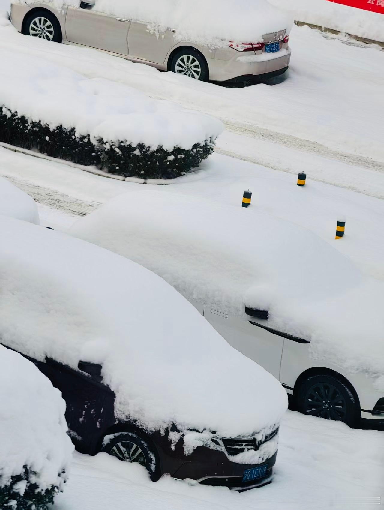 昨天北京这场雪下的挺大有点东北那种感觉了 