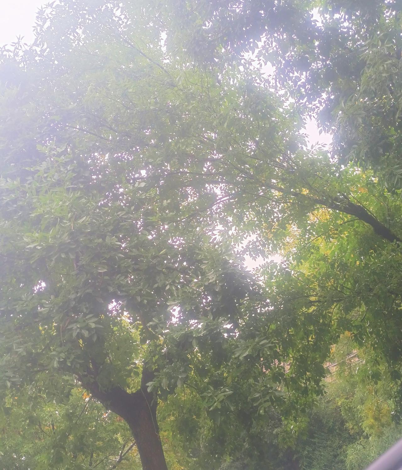 我是明白为什么最近流量少了，
原来头条不需要你文采多出众，
头条需要的是你不停的