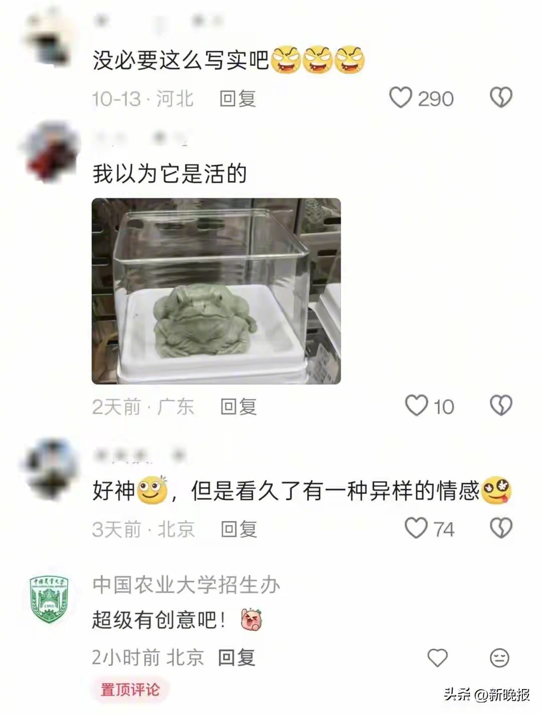 中国农业大学食堂推出一款“青蛙王子”蛋糕，售价9.9元一块，不过，越看越像癞蛤蟆