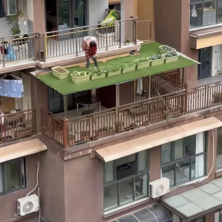 家人们，我刚刷到个视频，心脏都快吓停了！小区对面，一位老人背着孩子，竟站在阳台外