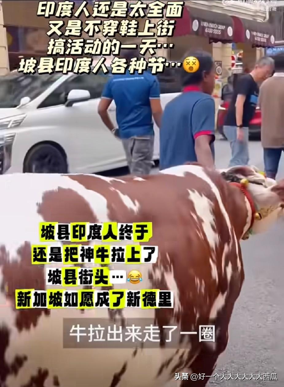 我们真的都被以前的知音体文学蒙蔽了，
当年觉得新加坡是一个极度热爱干净的国家，