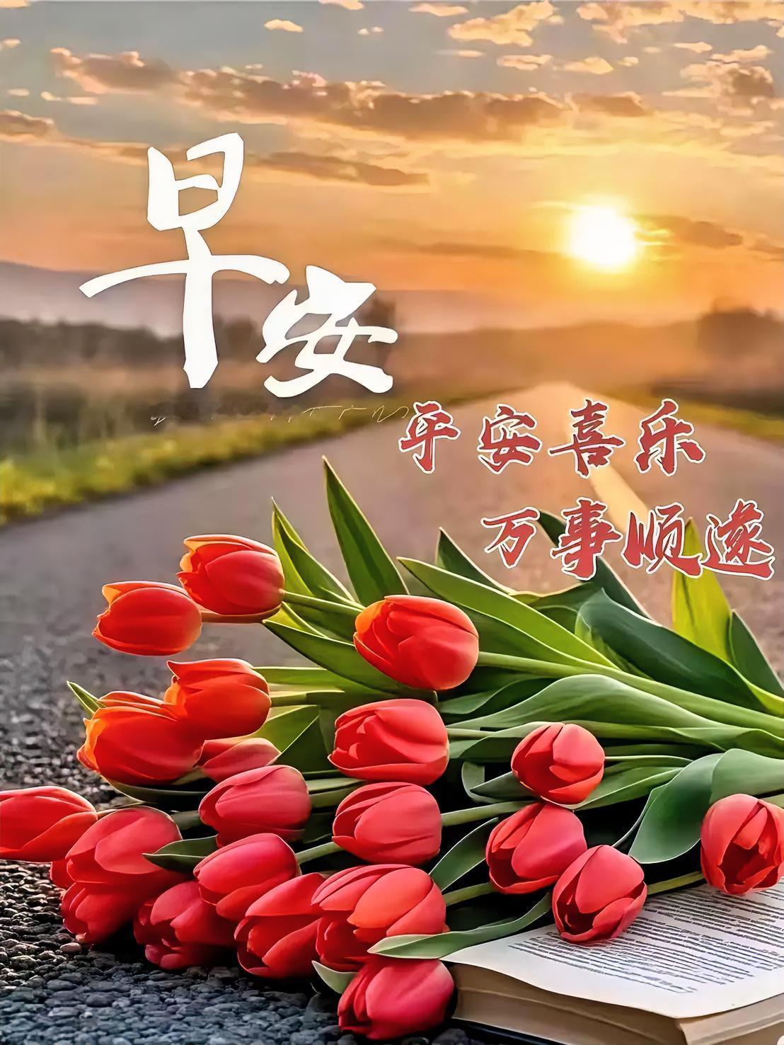 早安！郁金香伴晨光，平安喜乐万事顺遂，愿你今日如花般绚烂，心情美美哒～