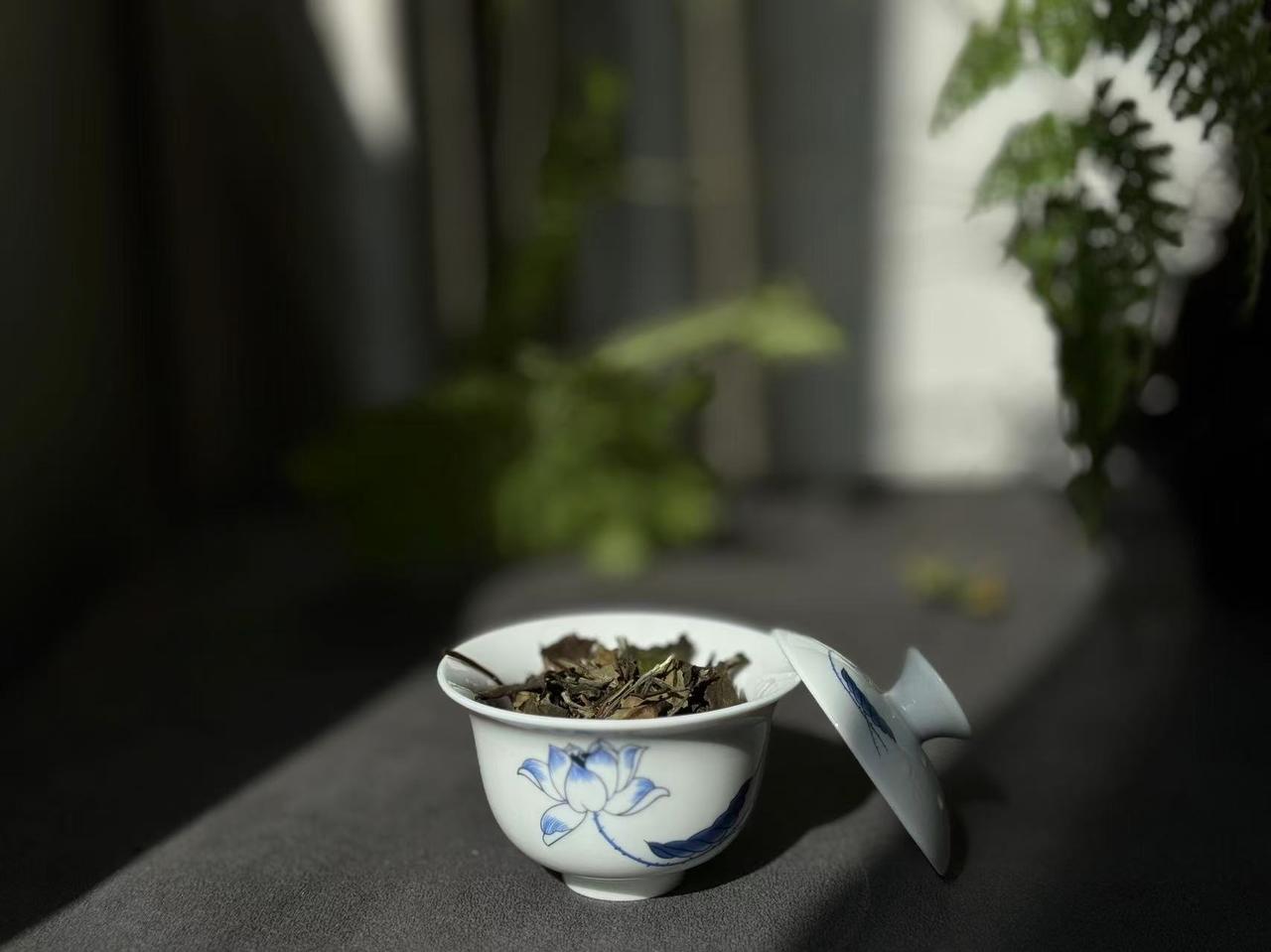 卖茶的人不喝什么茶？
以下这些茶，茶贩子自己都不喝，别再交智商税了！
①“新工艺
