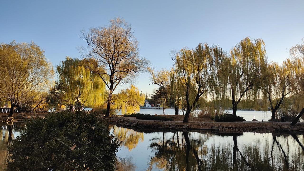 冬日生活打卡季今年北京冬天来的有点晚，紫竹院的树叶还没落光。美好的初冬景色。