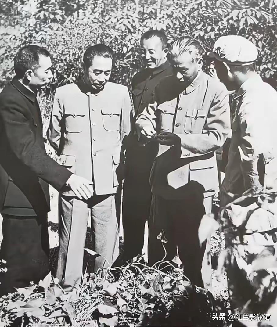 毛主席，周总理，朱德深入农村调查访问