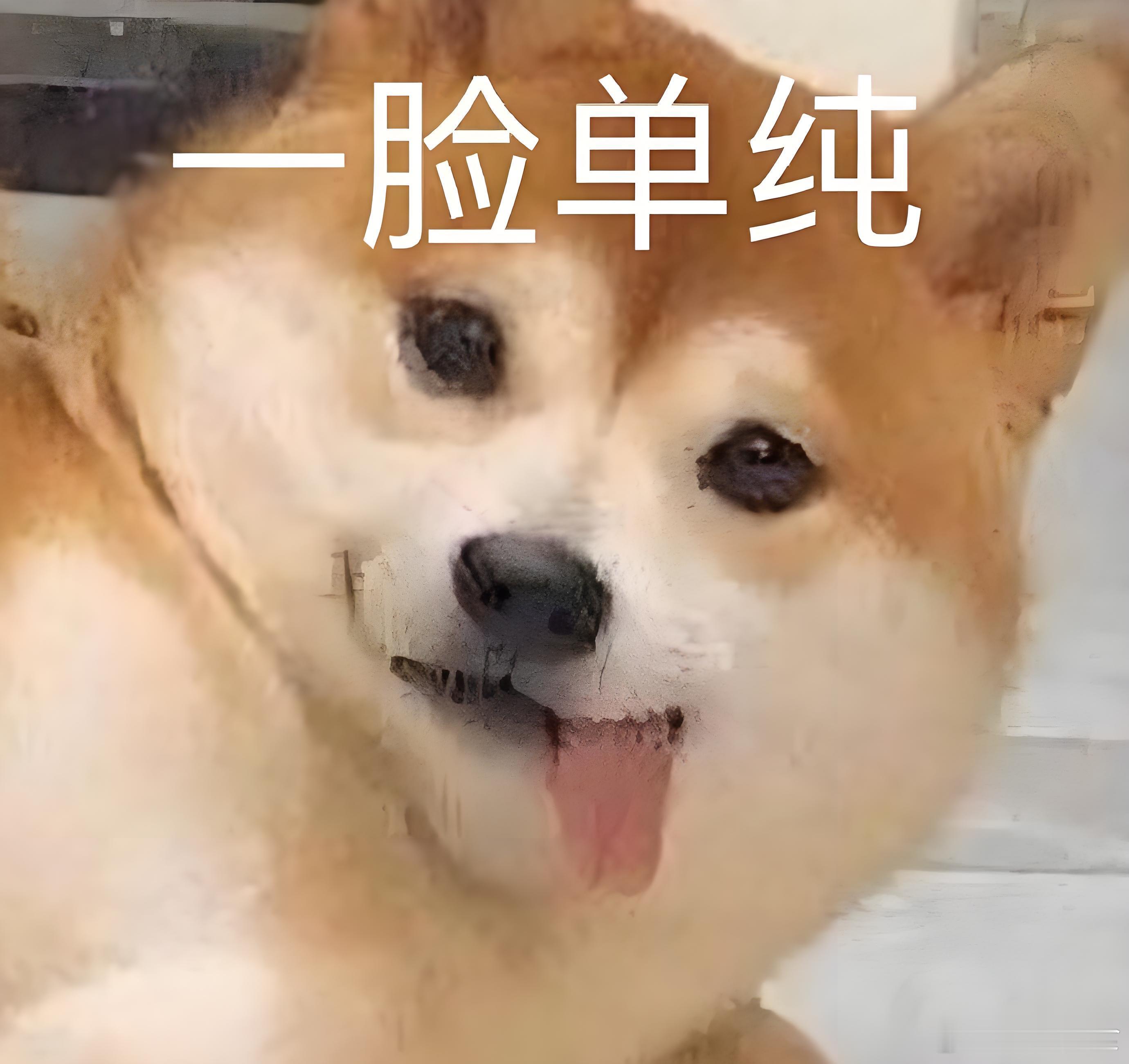 广大的帅锅美女们，想了解一下下班前的最后一个小时，都是怎么过来的摸鱼，找吃的，还