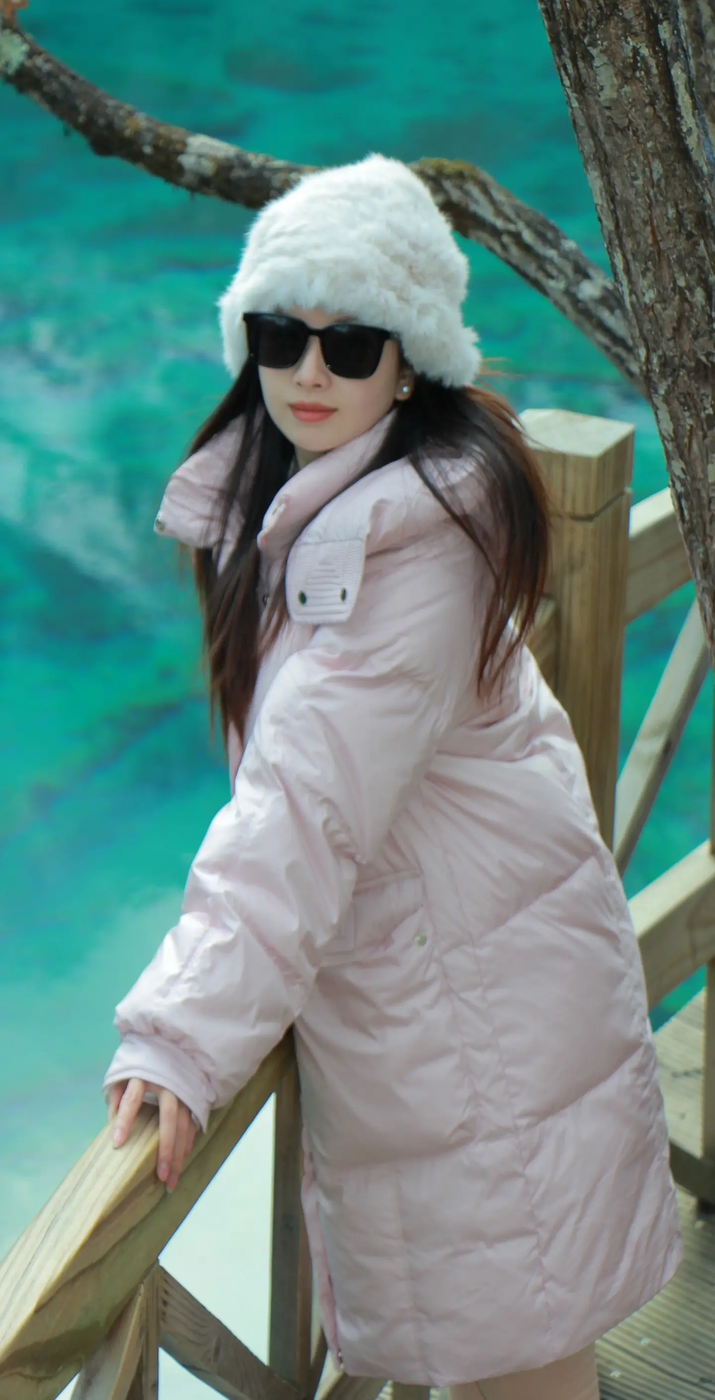 思绪与雪散 又游几轮冬