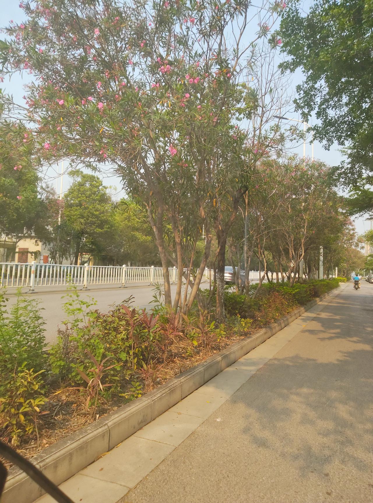 AI浪潮下，苏州模式给其他城市带来不少启示。苏州、北京、杭州构成中国AI产业发展