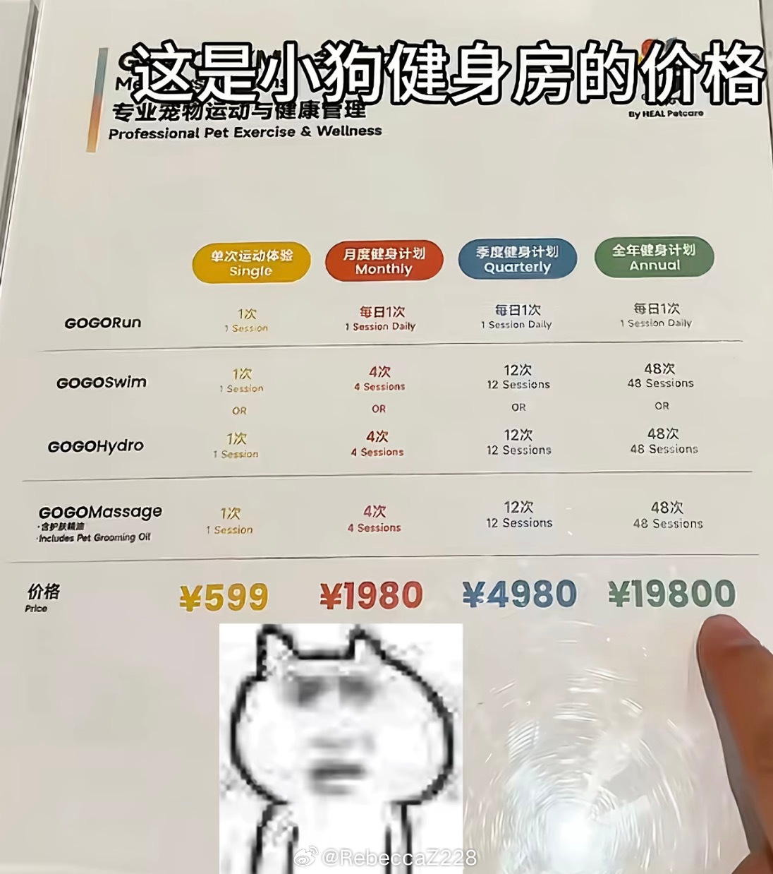 知道哪家么