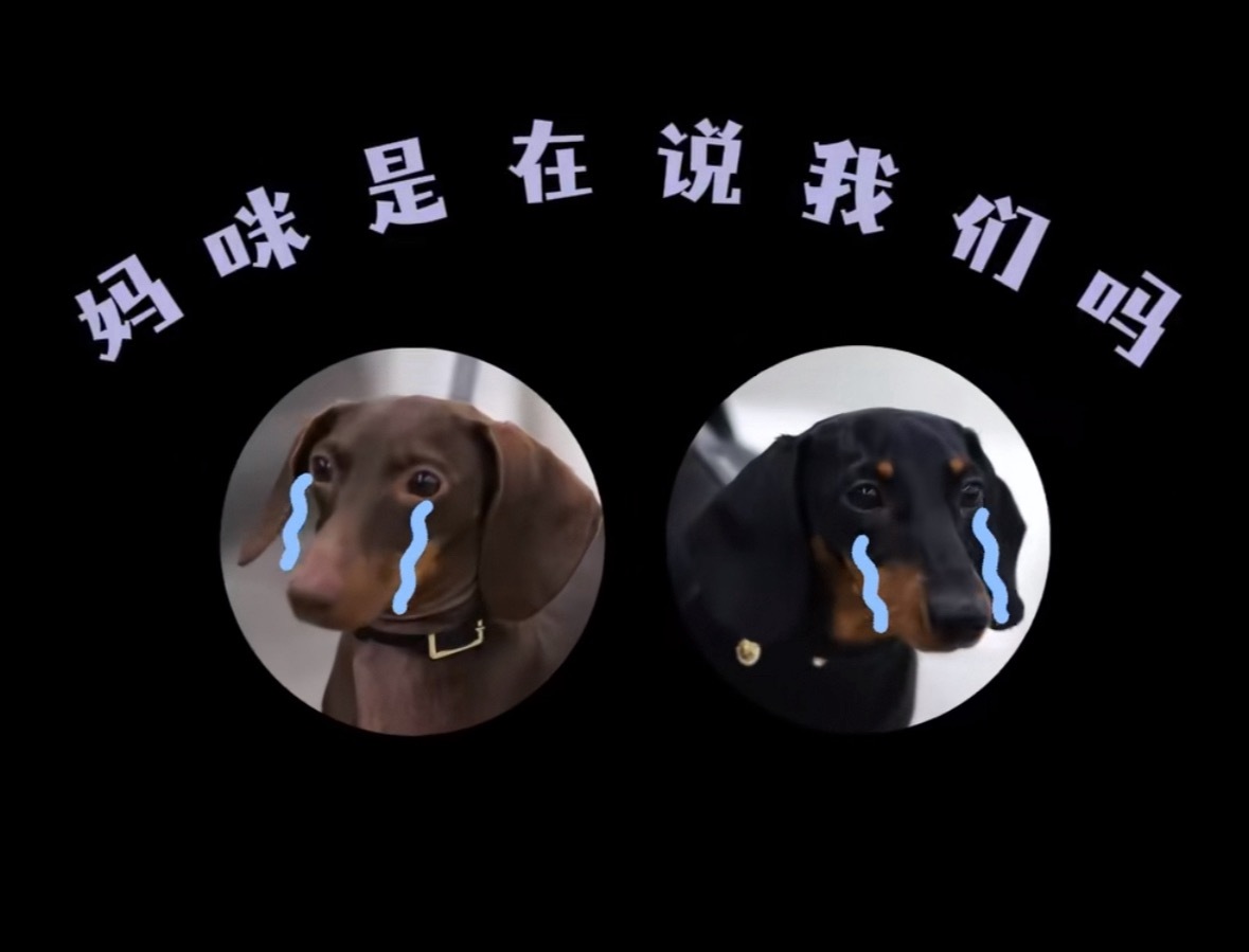 哈哈哈哈哈哈哈哈哈 