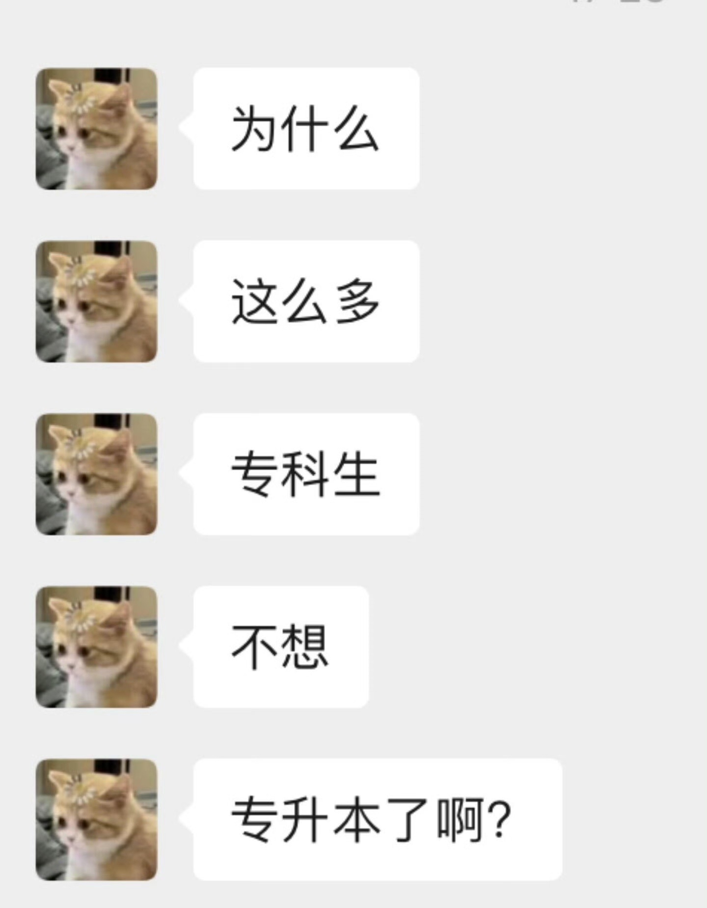 感觉很多专科生都不想升本了😢为什么啊 ​​​