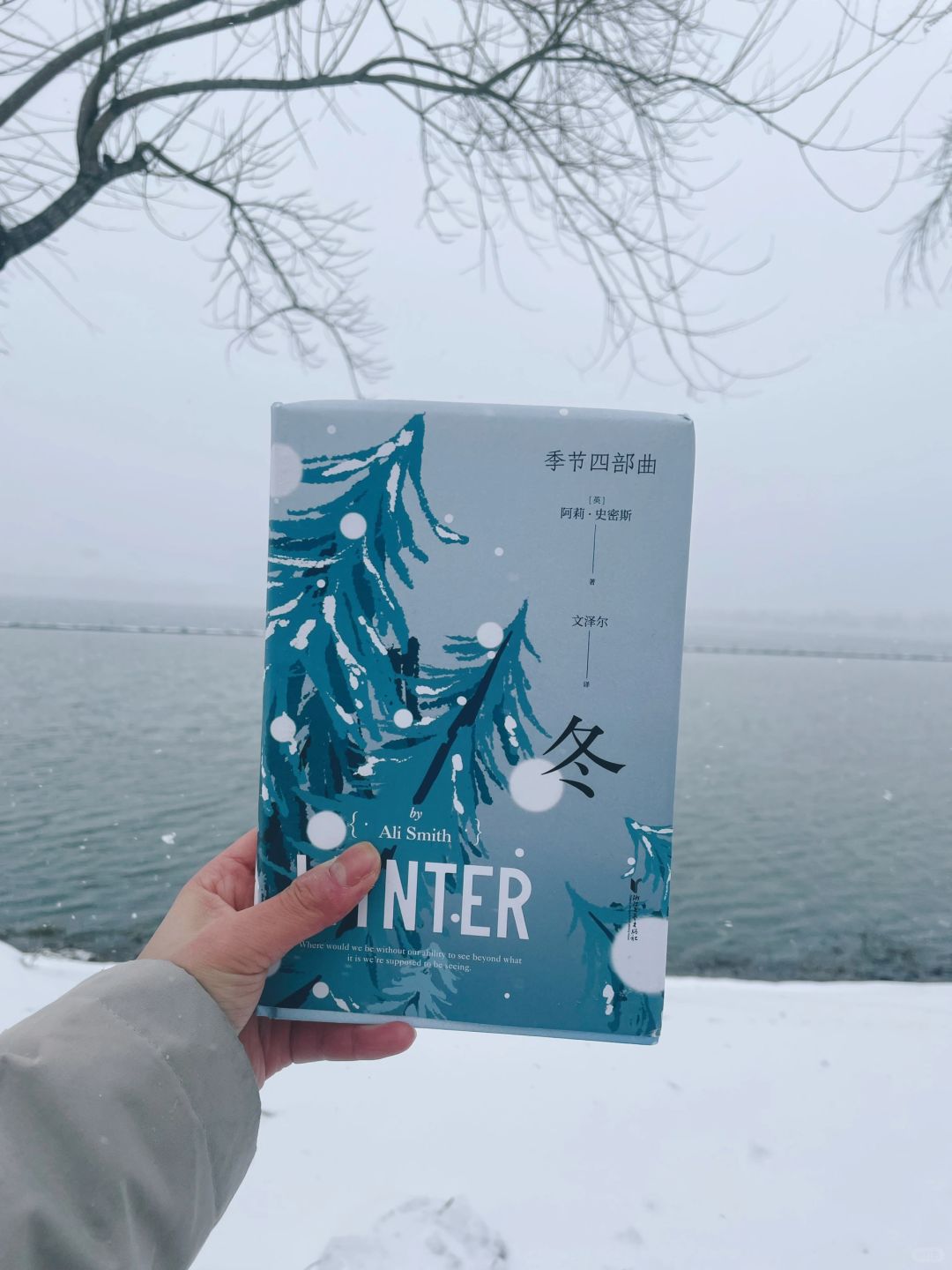 大雪天，又想重读这本了