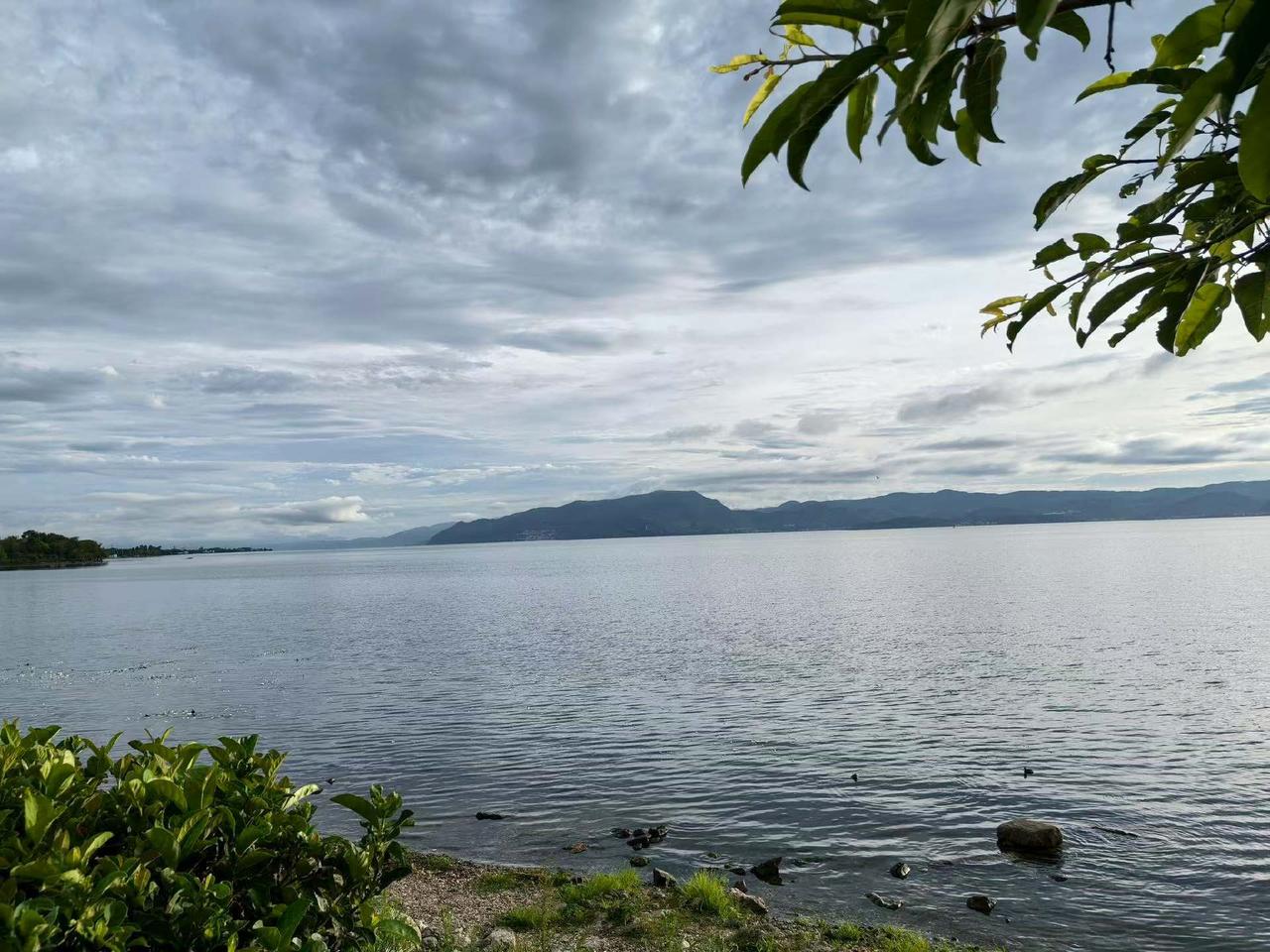 今日洱海
随手拍下的诗意瞬间