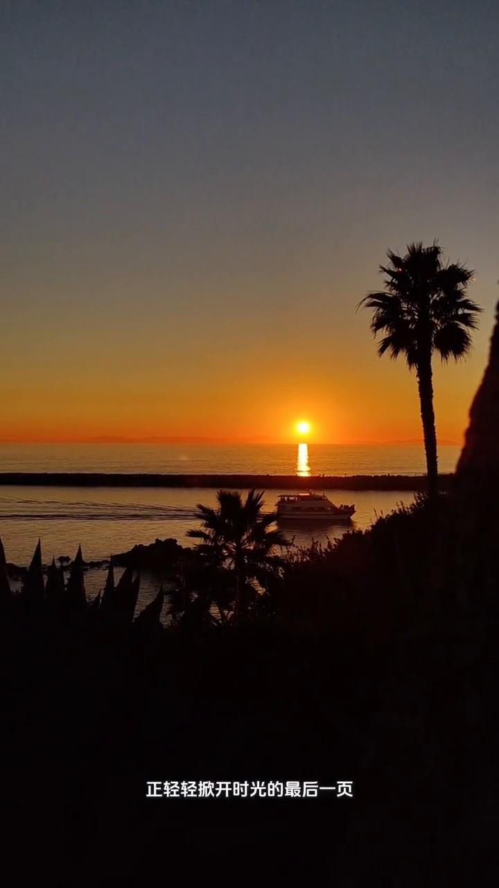 岁末晨语。
2025年最后一天的晨光正轻轻掀开时光的最后一页。早安！当这缕光穿过