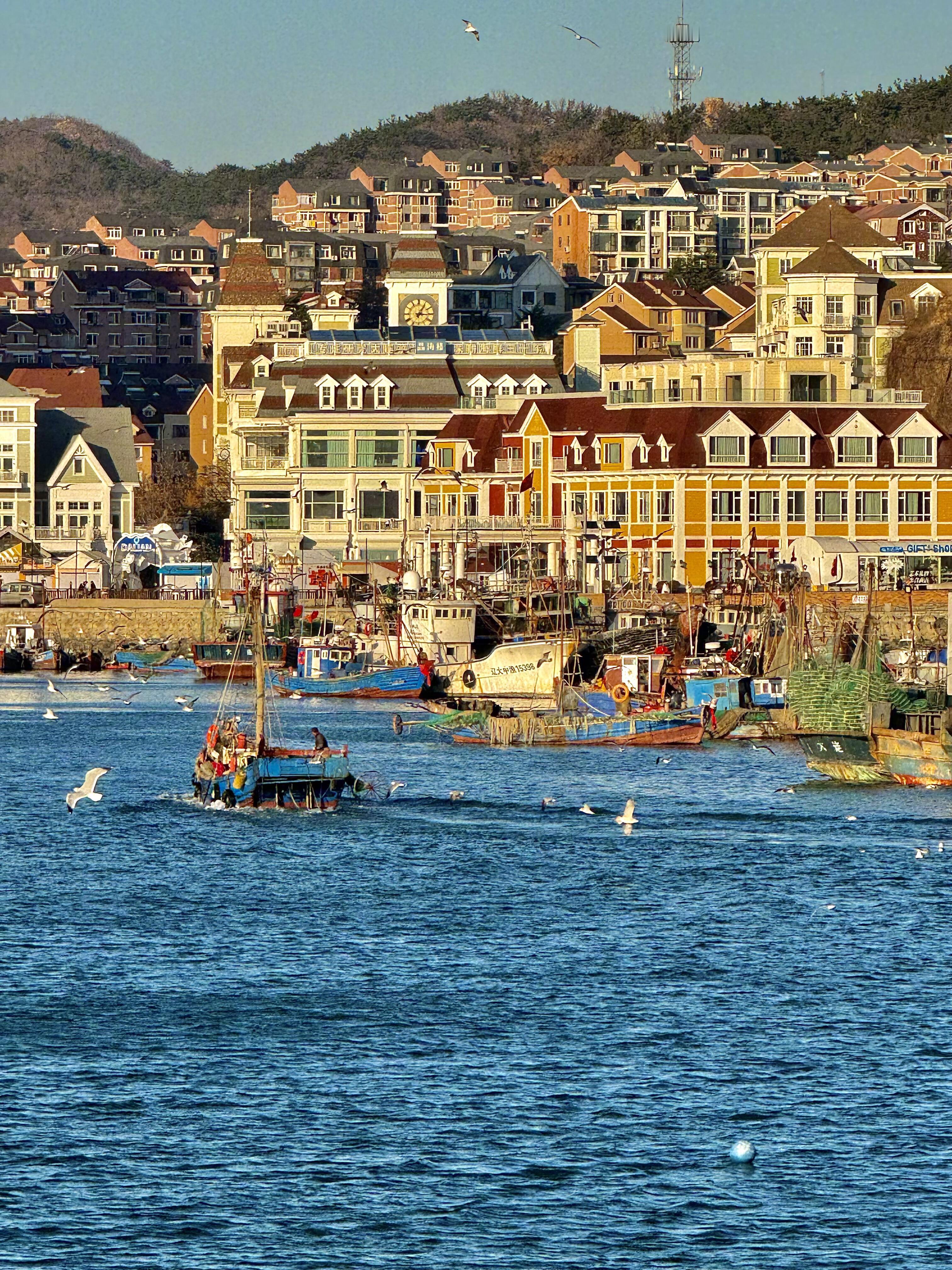 冬天一定要去一次大连 爱上大连  你只需要一场日落，去年在大连的四天真的反反复复