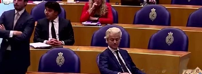 荷兰议会最近上演了一出“吃力不讨好”的政治秀，众议院以147票赞成、3票反对的压