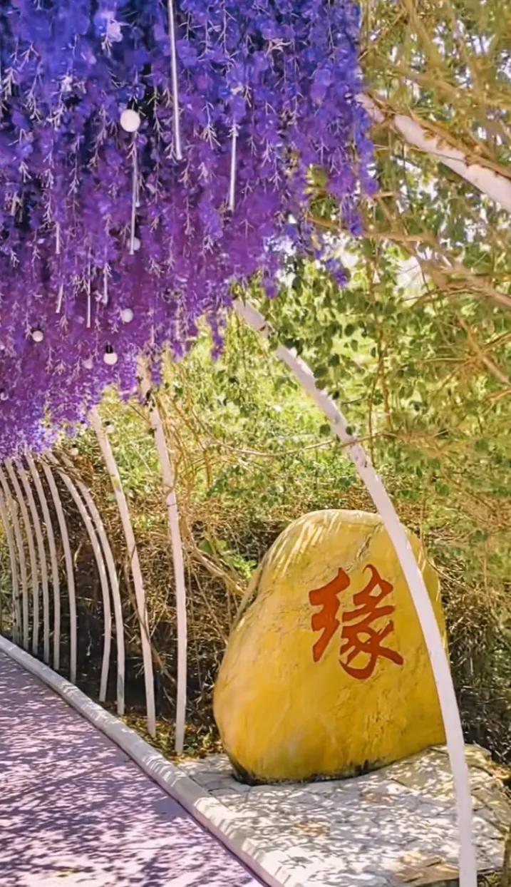 三亚盛景，碧海蓝天金沙岸，椰林摇曳韵无边，热带风情画里眠。风景 美丽之冠三亚 三