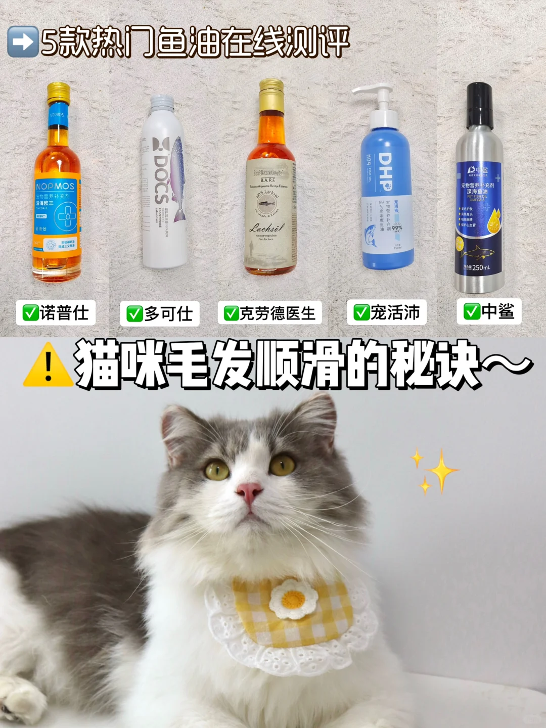 猫咪毛发顺滑的秘诀｜5款鱼油在线测评‼️