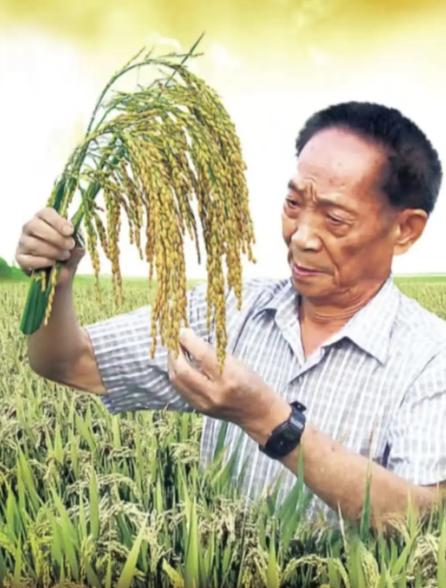 1997年，一位女生来袁隆平的水稻研究所面试，作为面试官的袁隆平看了她完美的履历