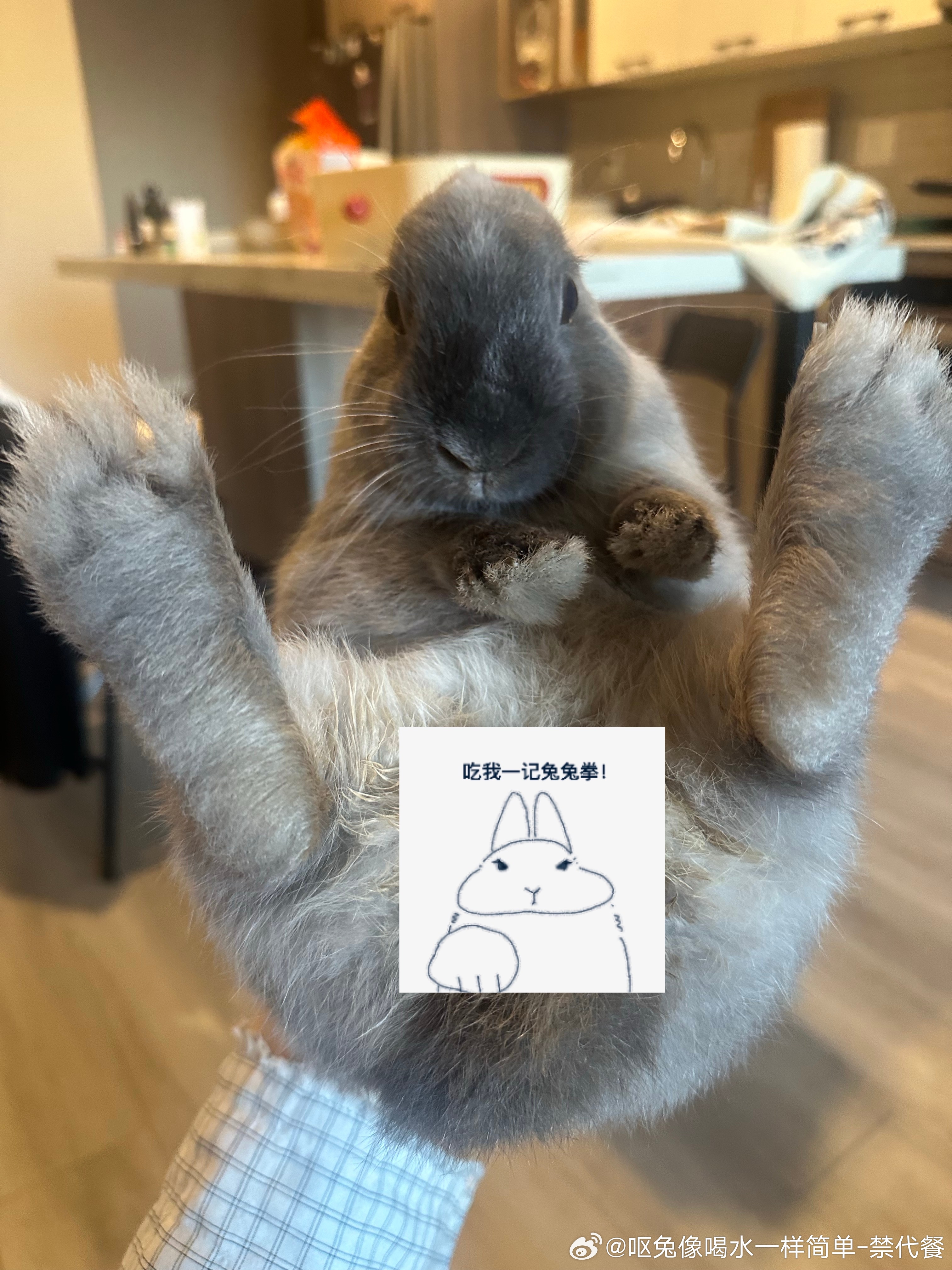 14545🐇【十字花科】 