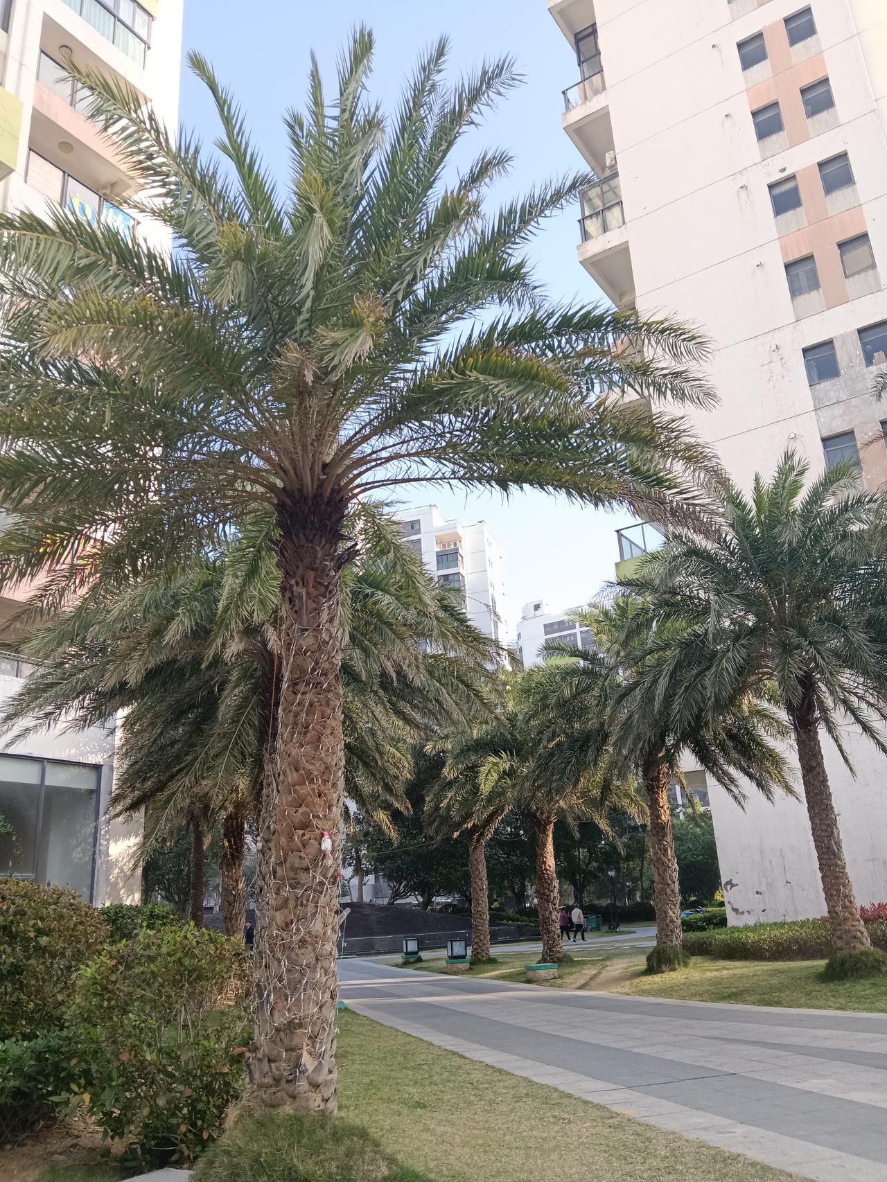 “坚强起来，过好每一天”，这绝对是给自己加油的金句。生活就像海洋，有平静也有风浪