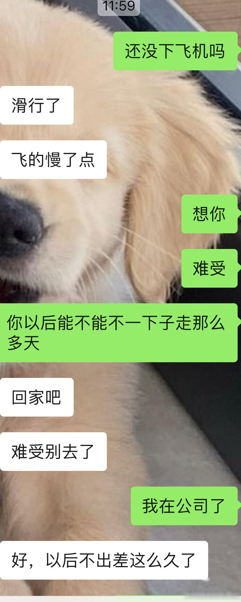 虽然但是，他还是会出差很久～ 快周末了，公司配餐好多炸鸡～ ​​​