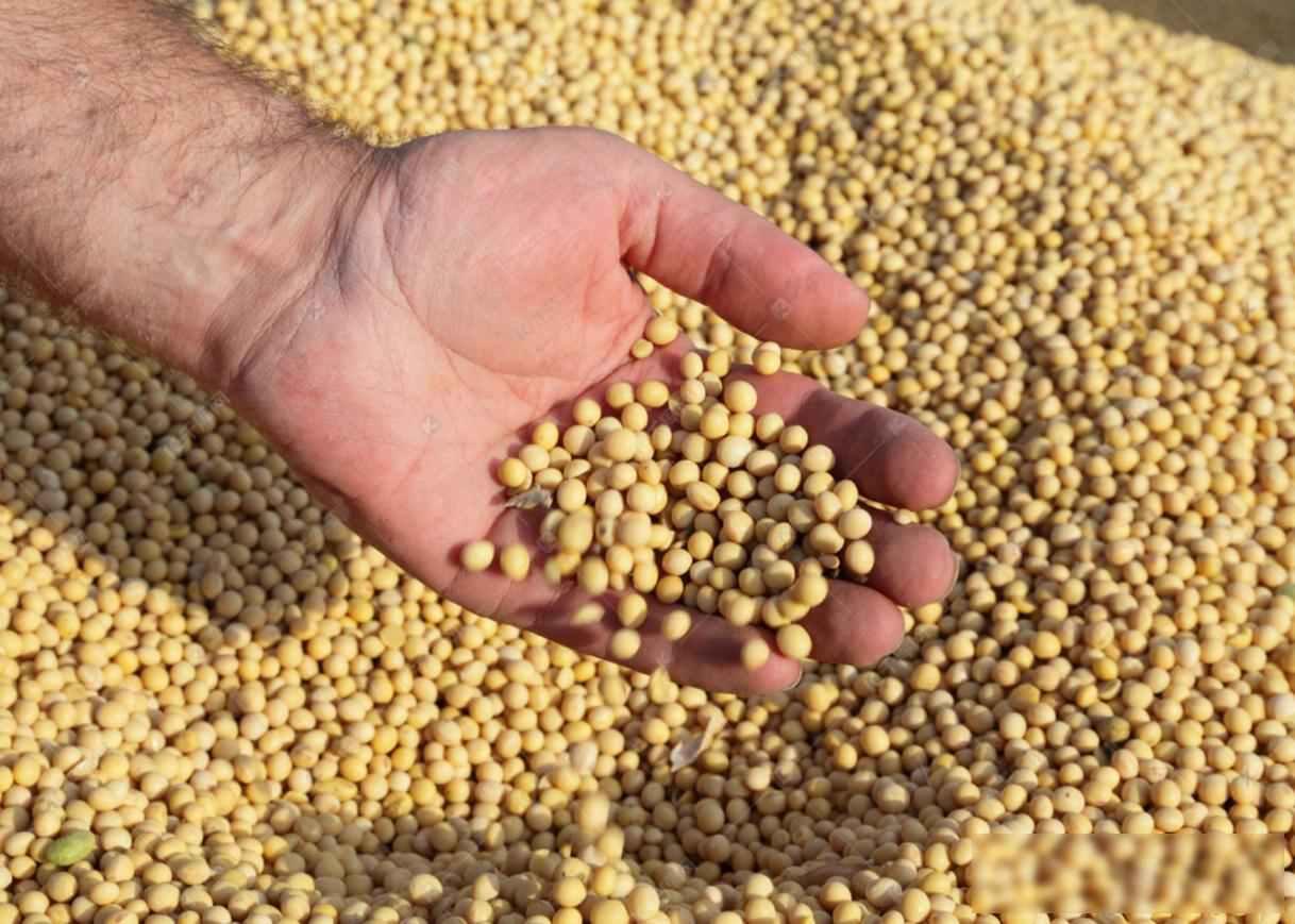 美国拉小圈子，中国没动手，市场自己说了算

最近美国联合几个国家搞了个关键矿产联