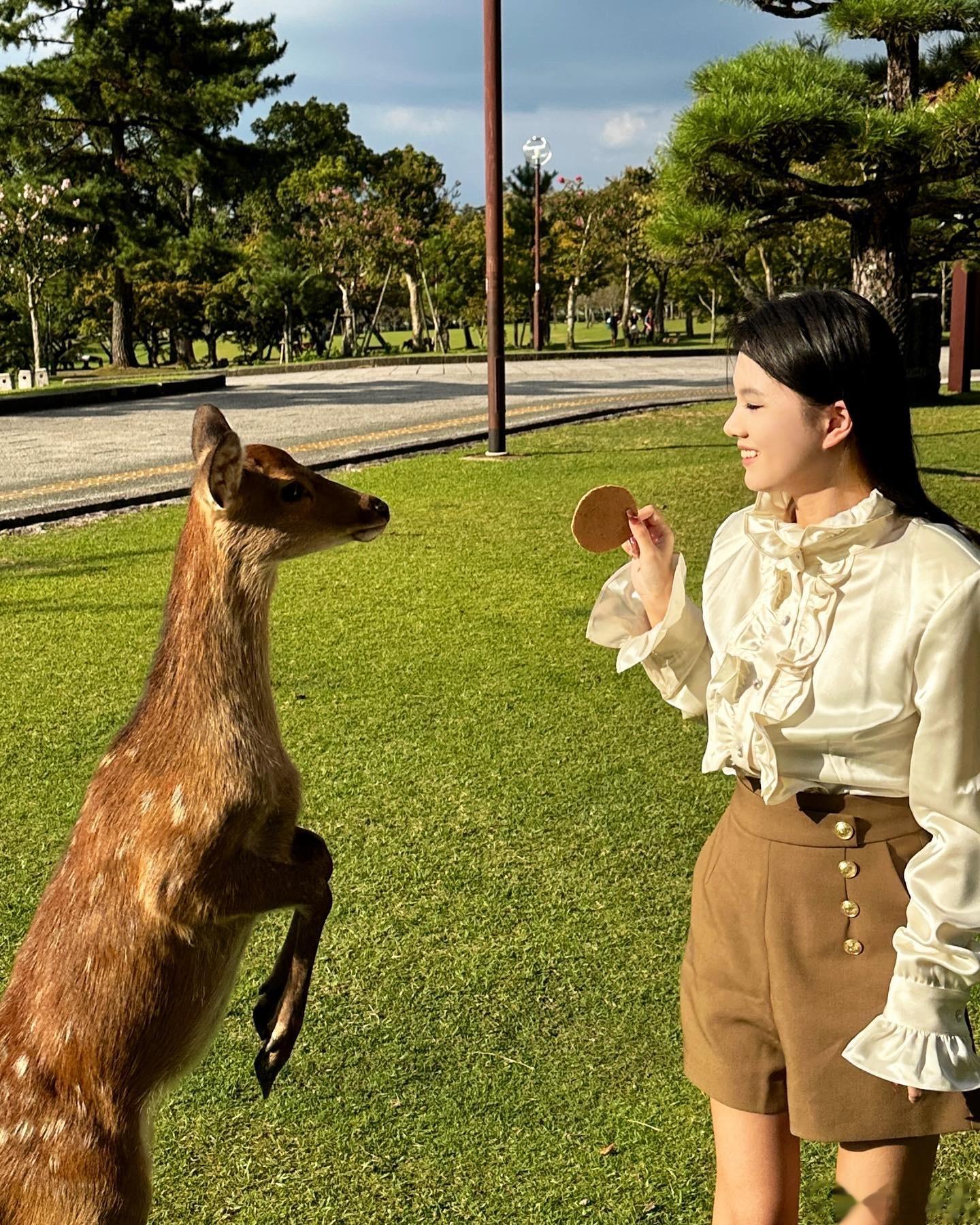 🦌 ​​​