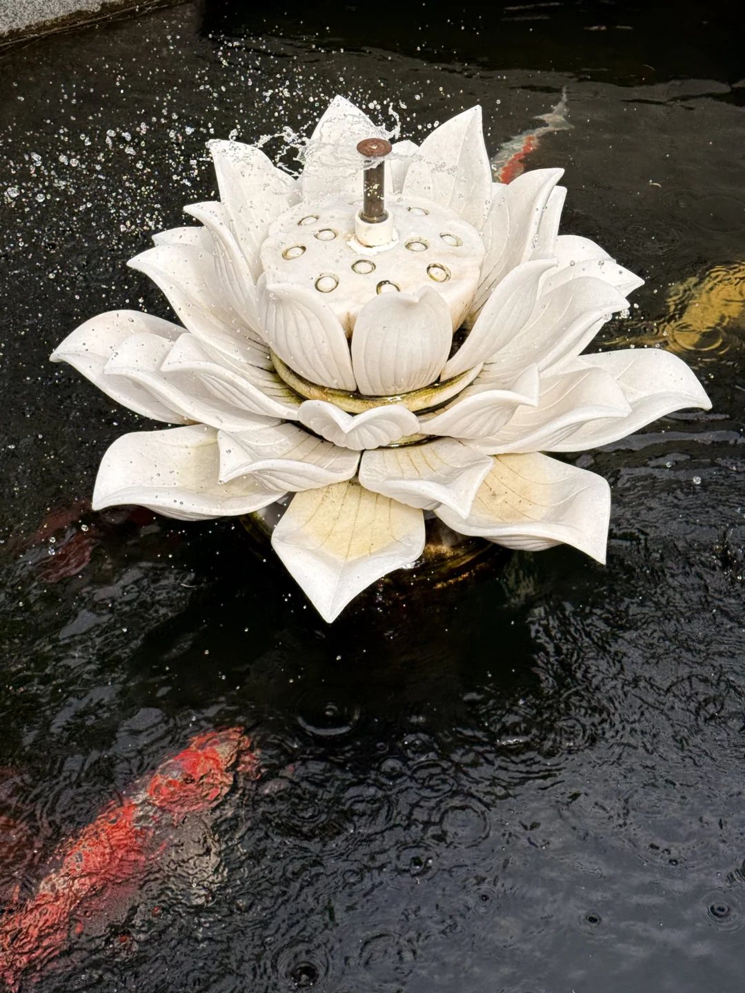 新的一天请给我好运，谢谢