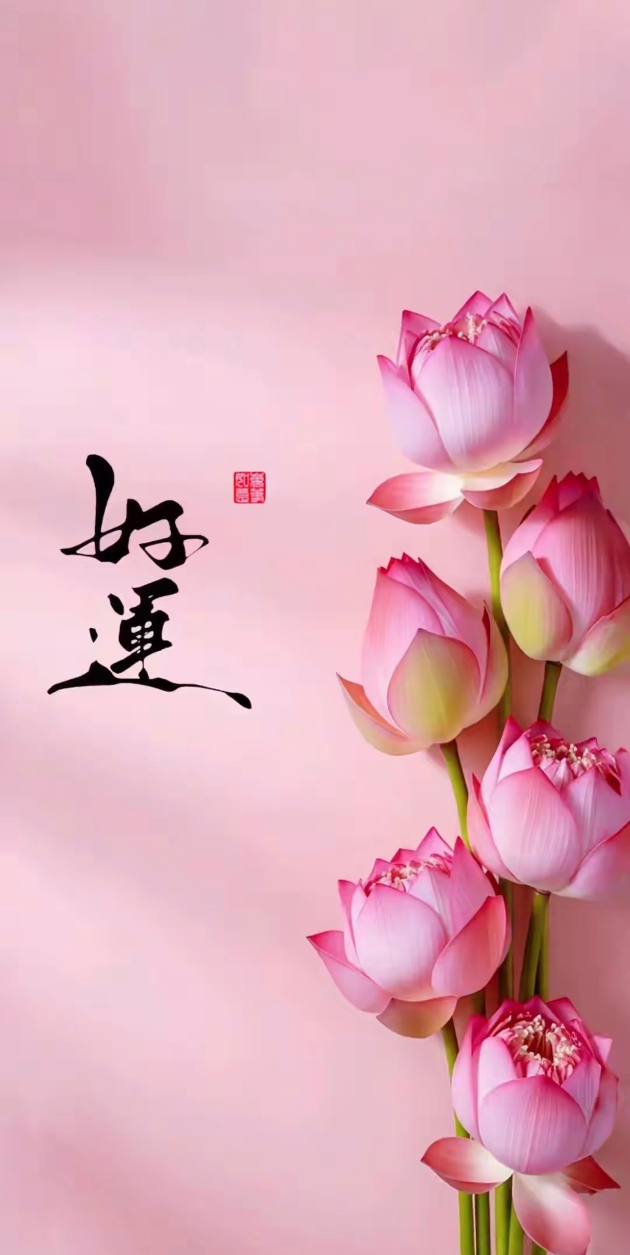 今天的A股走势关键了，科技股如果不能反弹那就彻底危险了利好消息1.央行：继续买断