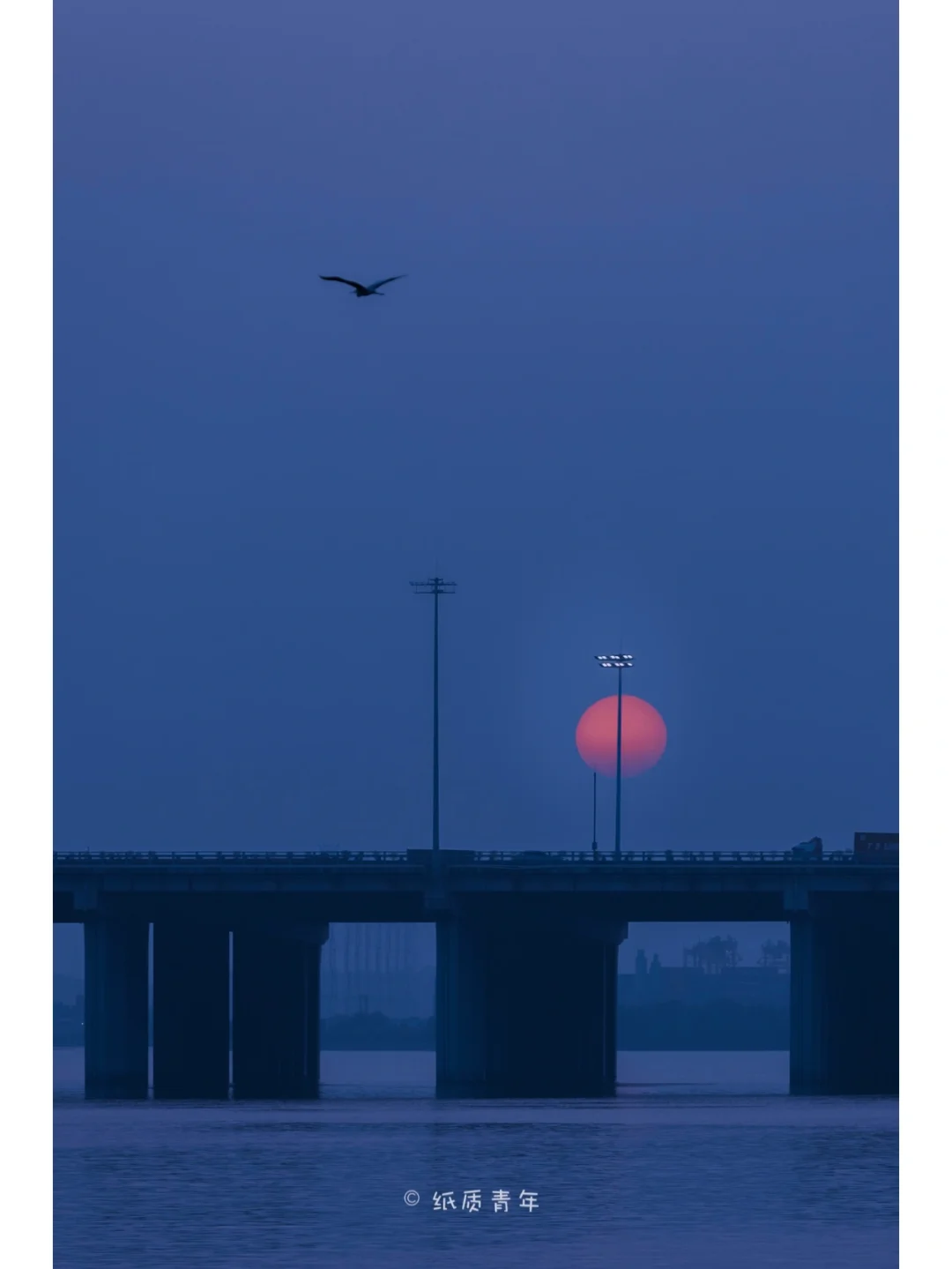 深圳海边公园|感受落霞与孤鹜的温柔