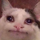 小腾聚聚影视剧