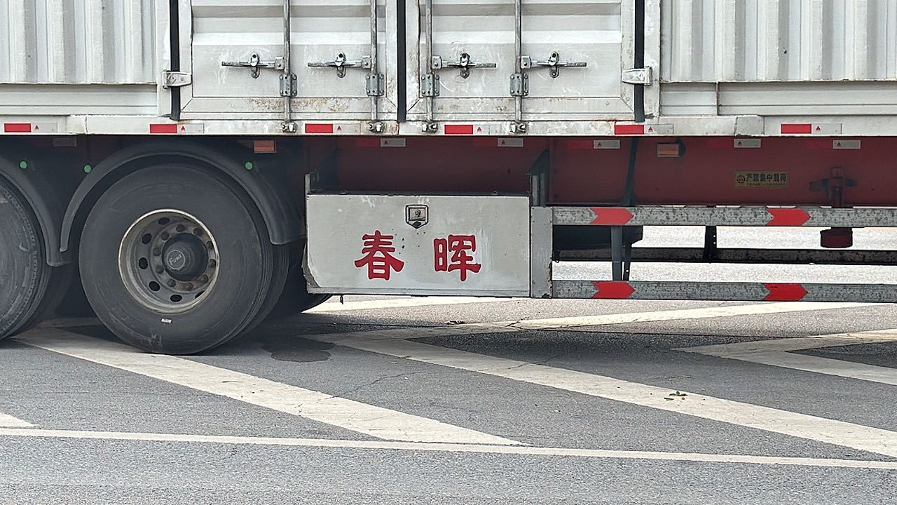 谁言寸草心，抱得三 ​​​