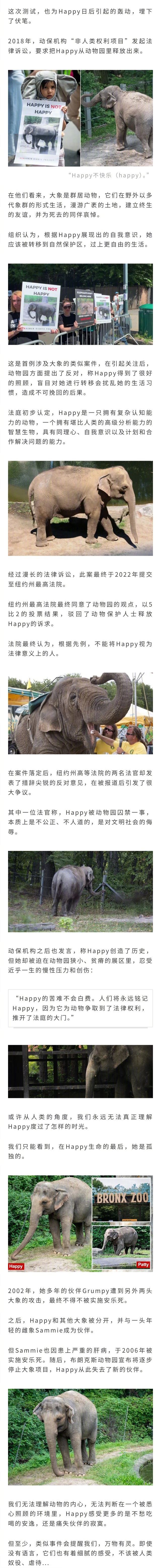 55岁传奇大象被安乐死！曾展现智慧打破历史，美国人为她打官司打到纽约最高法院..