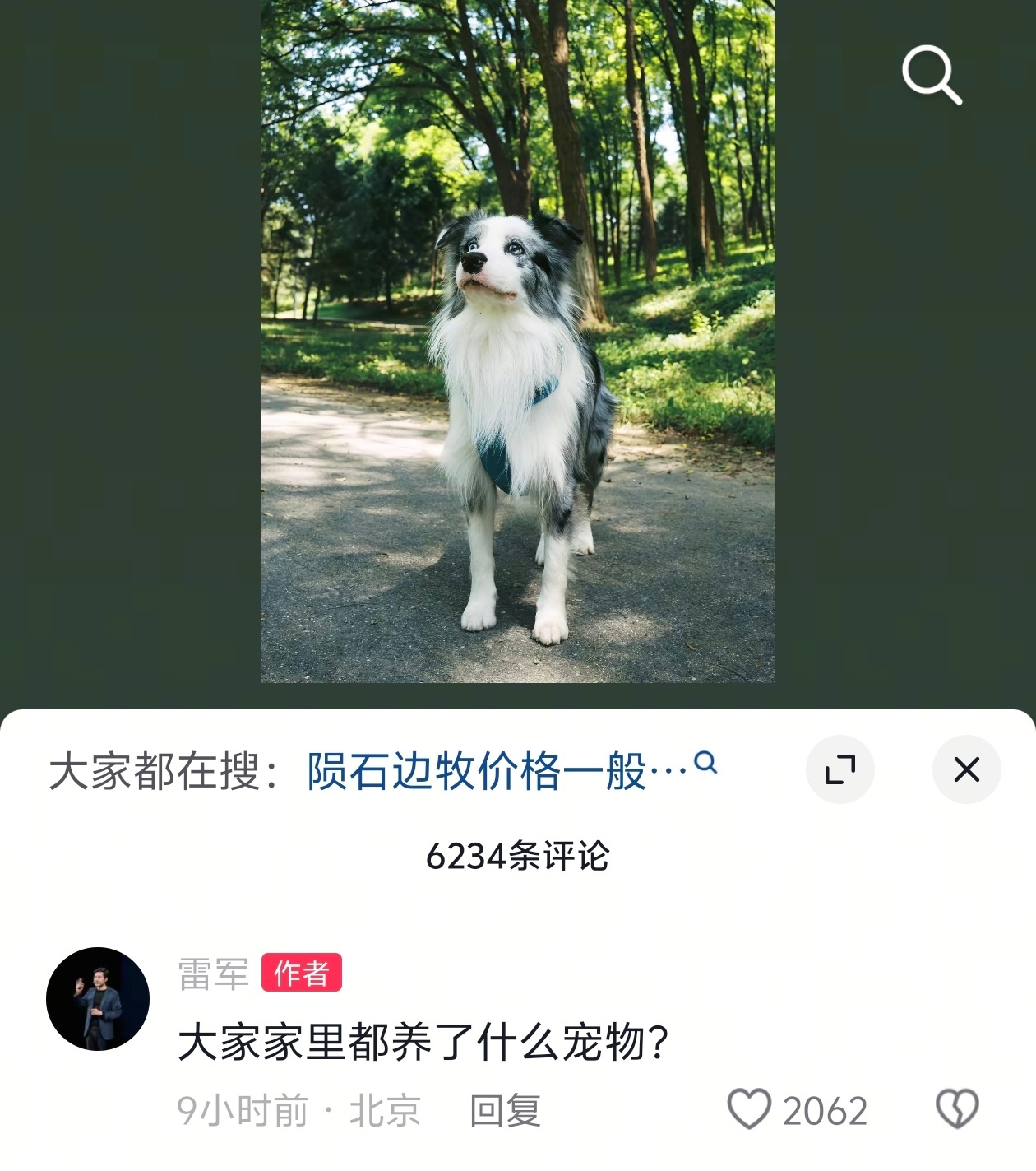 雷军问大家家里都养的什么宠物？ ​​​