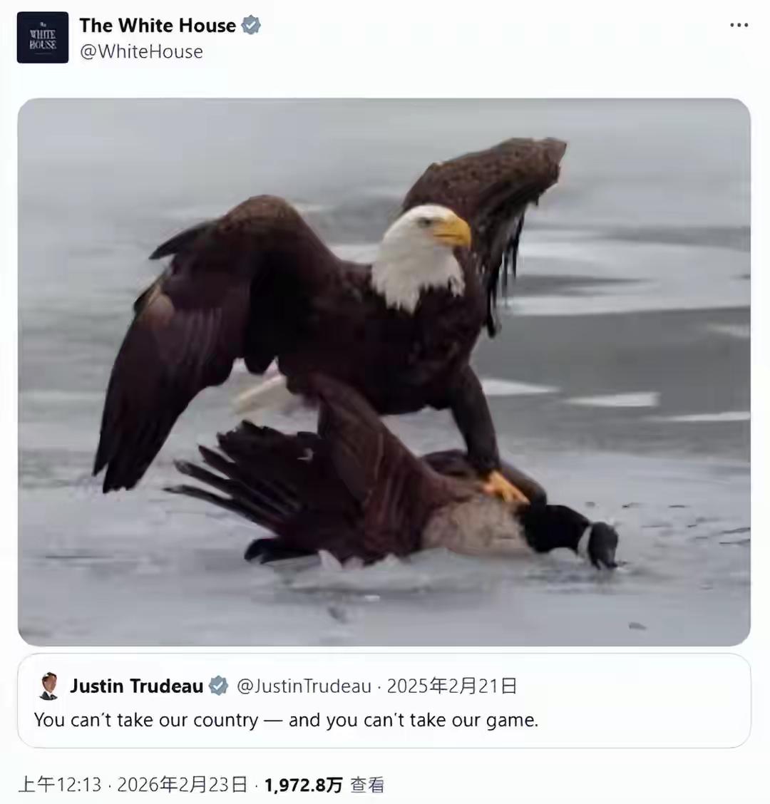 什么是“按在地上摩擦”
冬奥会冰球决赛，美国赢了加拿大
白宫特意发图
白头鹰踩在