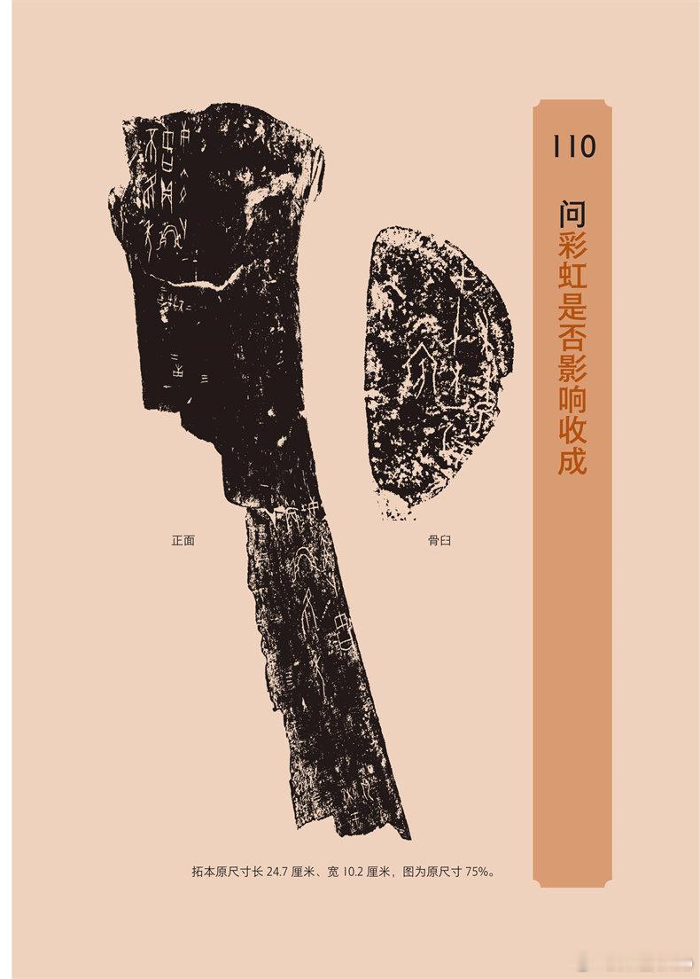 知書club 新书介绍丨这是一套关于商代甲骨卜辞的文化普及读本。众所周知，甲骨文