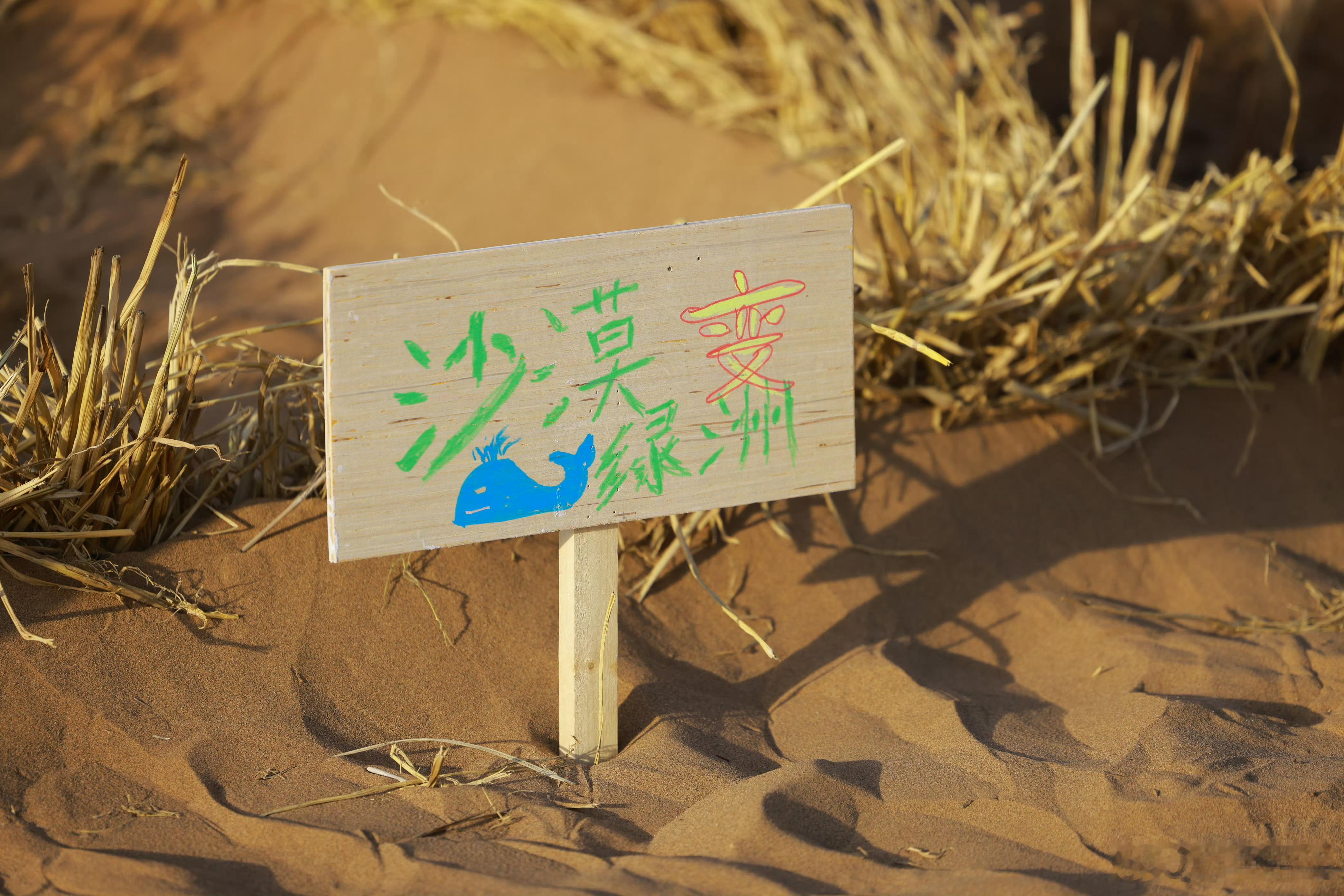 思想境界很高，记得有次过年许愿也是啥世界和平之类的吧。 ​​​
