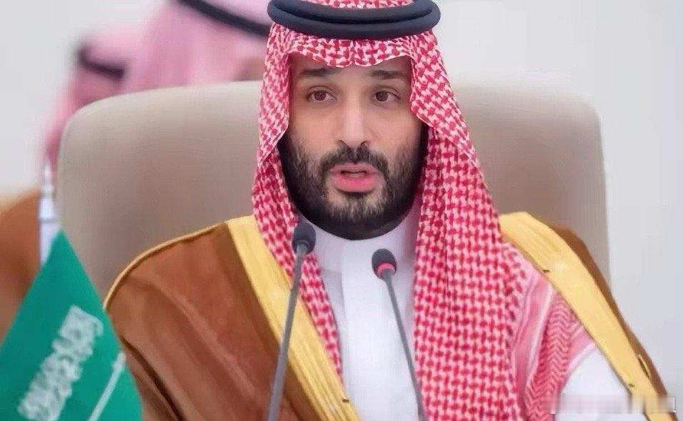 不出所料，高市早苗试图拉拢沙特共同对抗中国，却被沙特用实际行动狠狠“打脸”。沙特