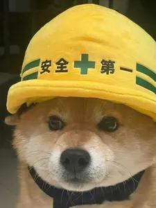 杀猪宴翻车博主已到派出所谈话准备100席，参加人数就要超过1000人。组织这种群