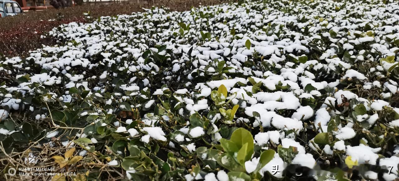2024年冬天的第一场雪
2025年1月25日，农历二0二四年腊月二十六晚7点到