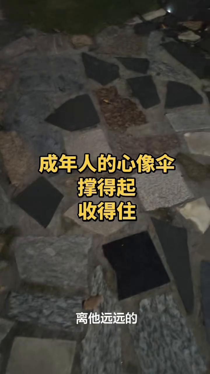 成年人的心像伞，撑得起，收得住。
这没有意义的话少说，没有结果的事少做。影响你情