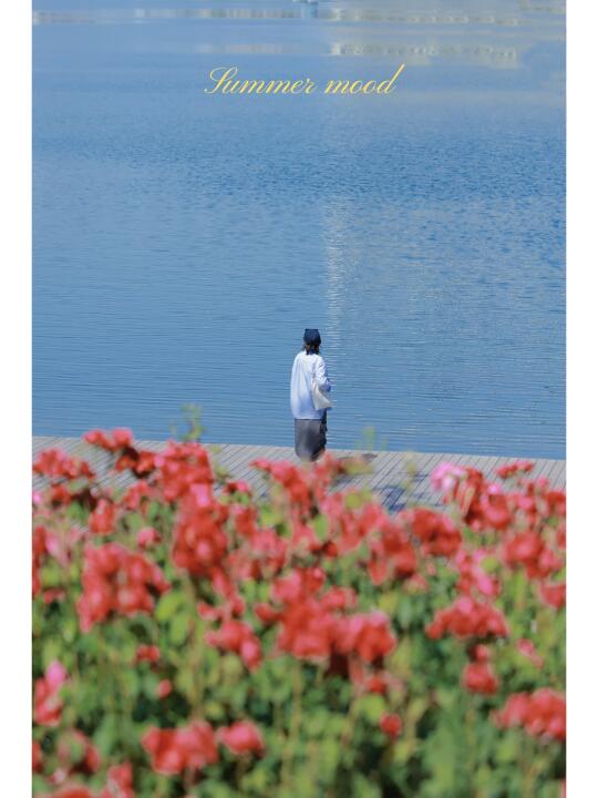 郑州五一🍃到开满鲜花的岛上好好生活