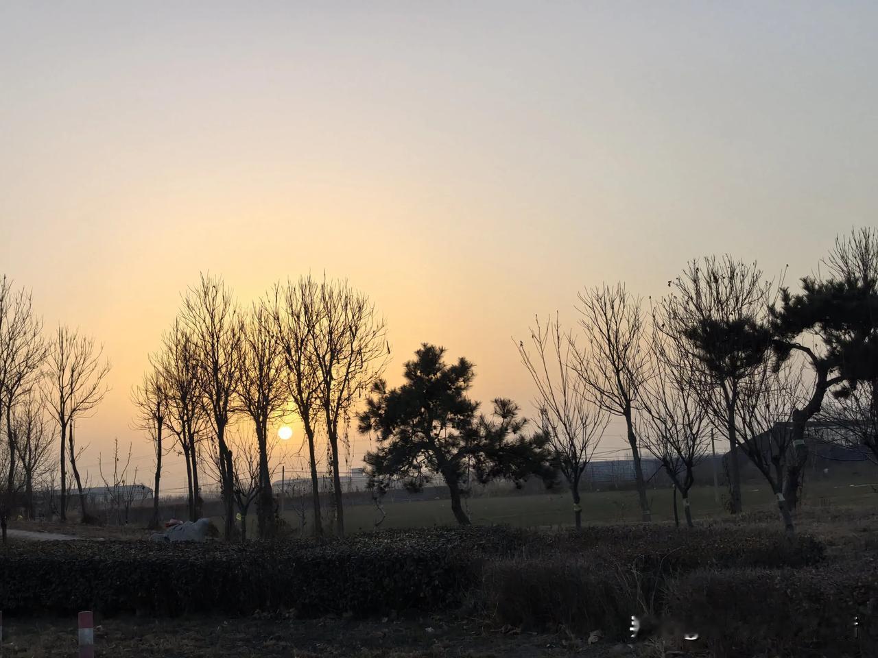 宿醉一般的一夜，梦很多，好像误了很多事一样紧张，又并没有什么通知。清晨的闹铃响了
