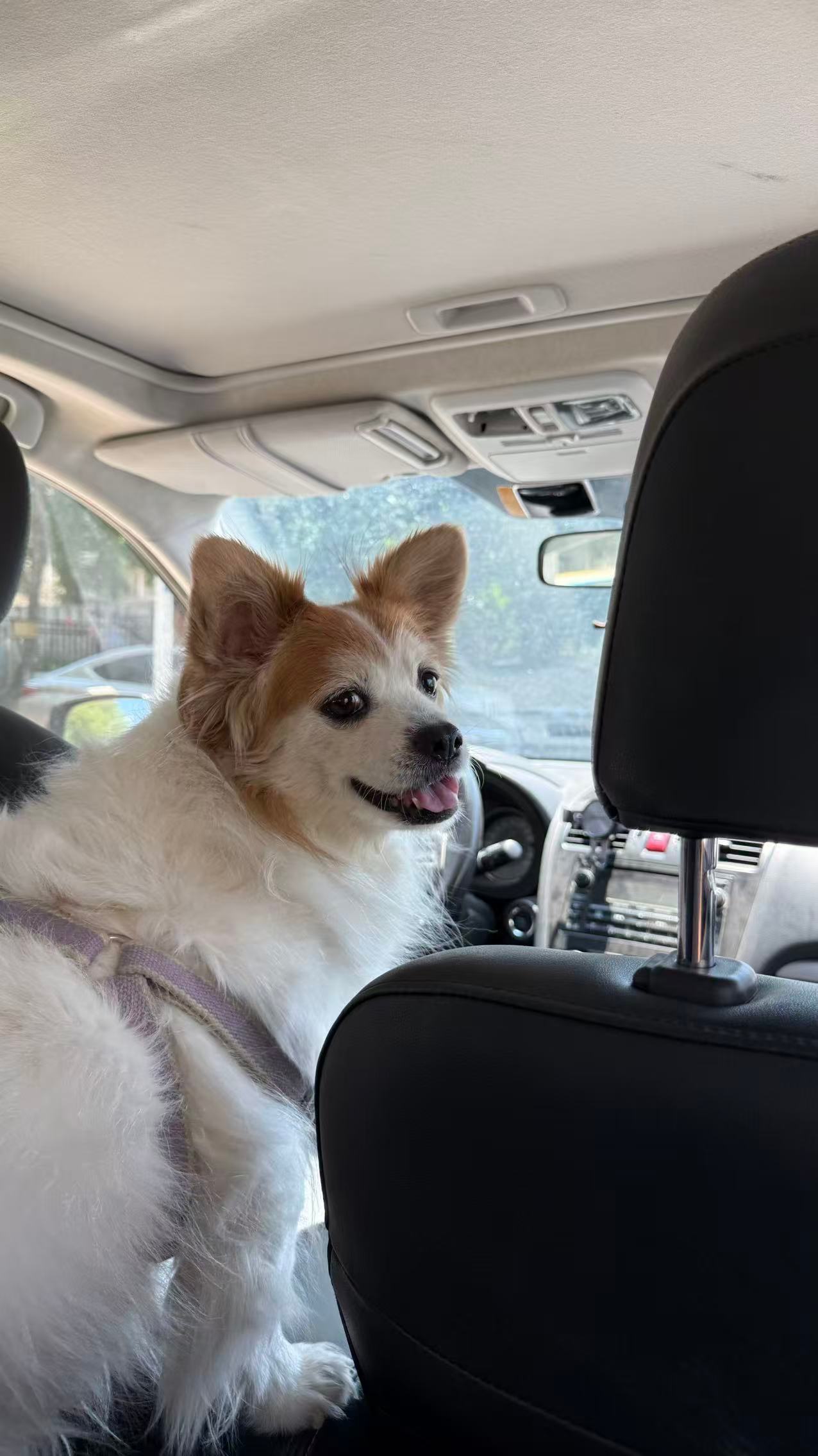 13岁老奶奶出去玩了 