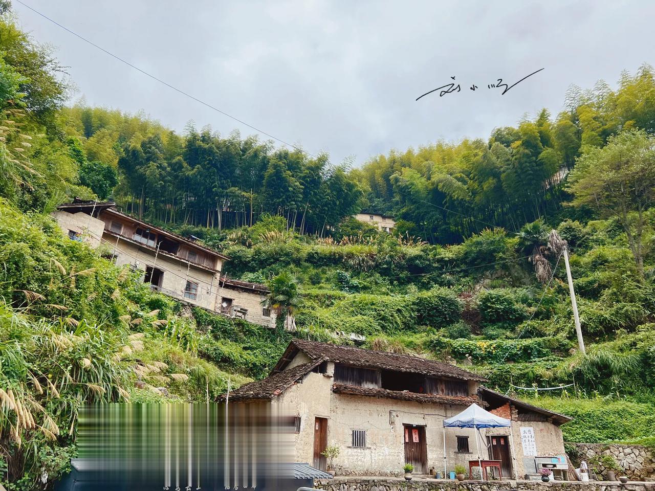 浙江松阳有个“网红打卡地”，以前只是普通小山村，如今文艺青年趋之若鹜？

前段时